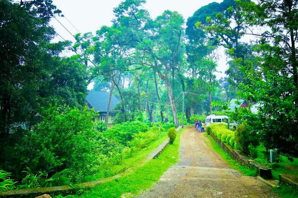Munnar Tea Estate Cottage And Resort - Away From City Hustle Exteriér fotografie